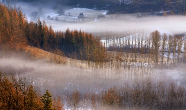 111_paesaggio con nebbia_tema libero